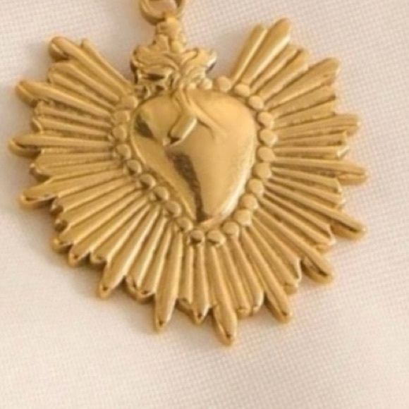 Sacred Heart~ Fiery Floral Radiating Bursting Jesus Mary Catholic Steel Necklace - Picture 2 of 16